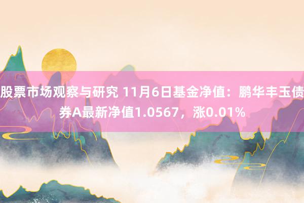 股票市场观察与研究 11月6日基金净值：鹏华丰玉债券A最新净值1.0567，涨0.01%