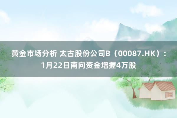 黄金市场分析 太古股份公司B（00087.HK）：1月22日南向资金增握4万股