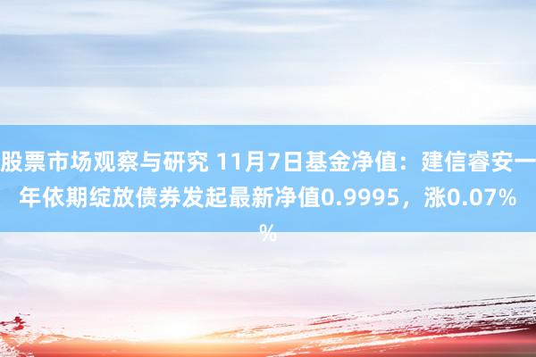 股票市场观察与研究 11月7日基金净值：建信睿安一年依期绽放债券发起最新净值0.9995，涨0.07%