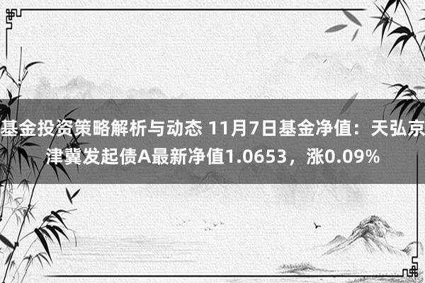 基金投资策略解析与动态 11月7日基金净值：天弘京津冀发起债A最新净值1.0653，涨0.09%