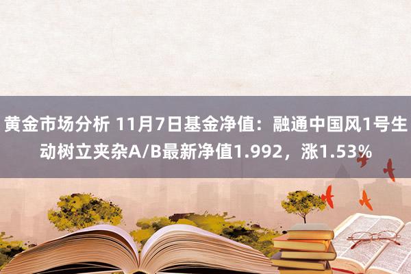 黄金市场分析 11月7日基金净值：融通中国风1号生动树立夹杂A/B最新净值1.992，涨1.53%