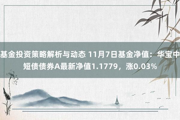 基金投资策略解析与动态 11月7日基金净值：华宝中短债债券A最新净值1.1779，涨0.03%