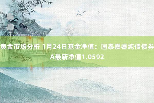 黄金市场分析 1月24日基金净值：国泰嘉睿纯债债券A最新净值1.0592