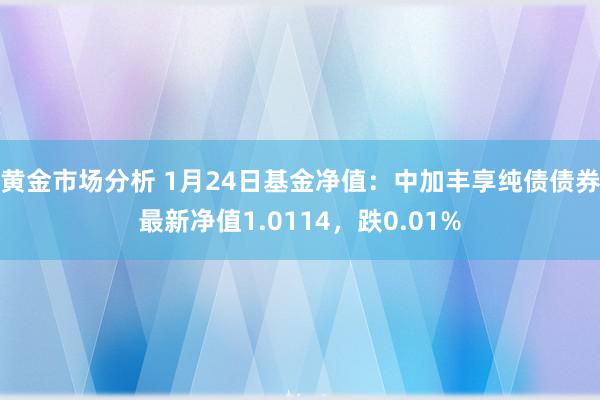 黄金市场分析 1月24日基金净值：中加丰享纯债债券最新净值1.0114，跌0.01%