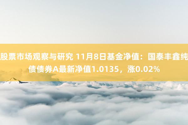 股票市场观察与研究 11月8日基金净值：国泰丰鑫纯债债券A最新净值1.0135，涨0.02%