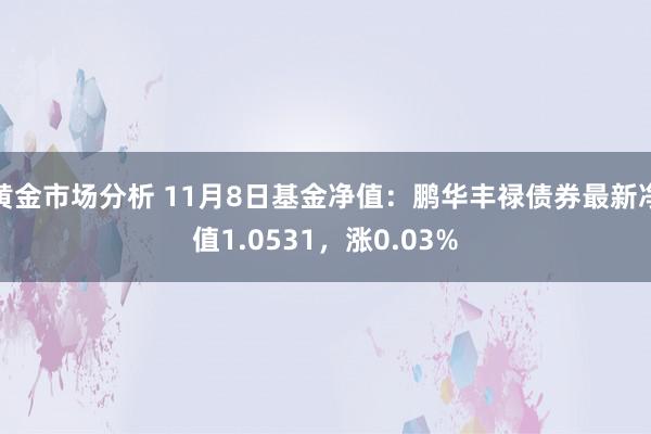 黄金市场分析 11月8日基金净值：鹏华丰禄债券最新净值1.0531，涨0.03%