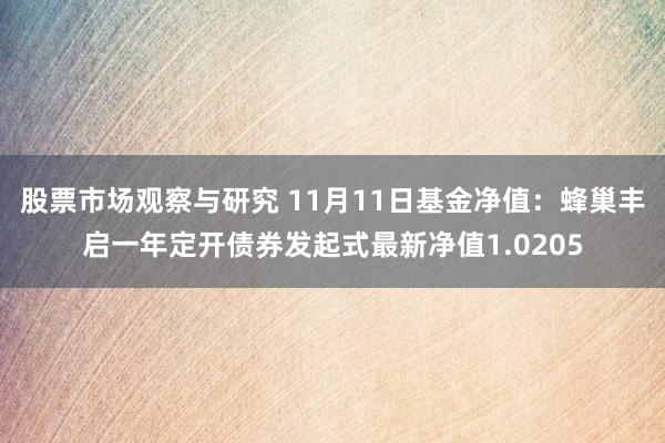 股票市场观察与研究 11月11日基金净值：蜂巢丰启一年定开债券发起式最新净值1.0205