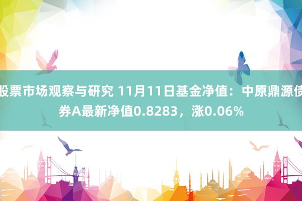 股票市场观察与研究 11月11日基金净值：中原鼎源债券A最新净值0.8283，涨0.06%