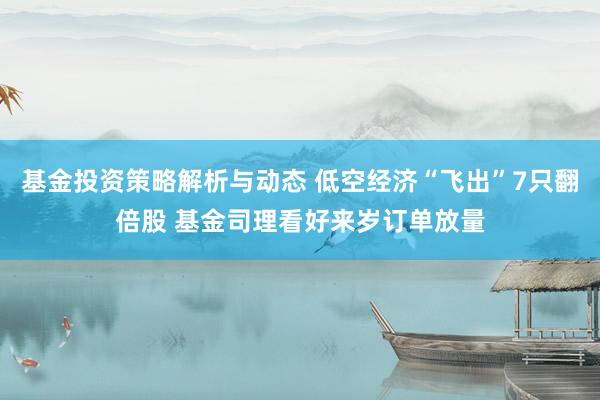 基金投资策略解析与动态 低空经济“飞出”7只翻倍股 基金司理看好来岁订单放量