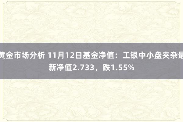 黄金市场分析 11月12日基金净值：工银中小盘夹杂最新净值2.733，跌1.55%