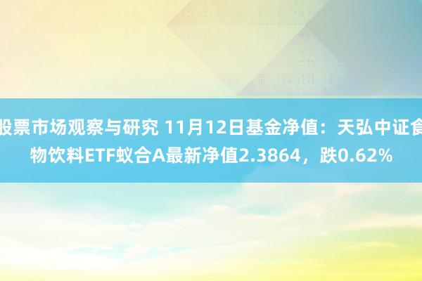 股票市场观察与研究 11月12日基金净值：天弘中证食物饮料ETF蚁合A最新净值2.3864，跌0.62%