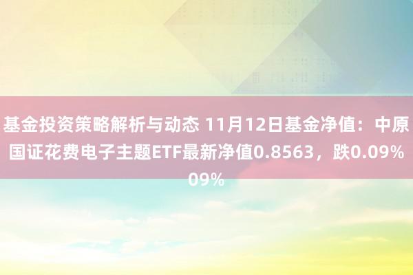 基金投资策略解析与动态 11月12日基金净值：中原国证花费电子主题ETF最新净值0.8563，跌0.09%