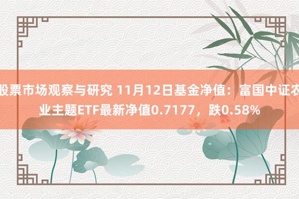 股票市场观察与研究 11月12日基金净值：富国中证农业主题ETF最新净值0.7177，跌0.58%