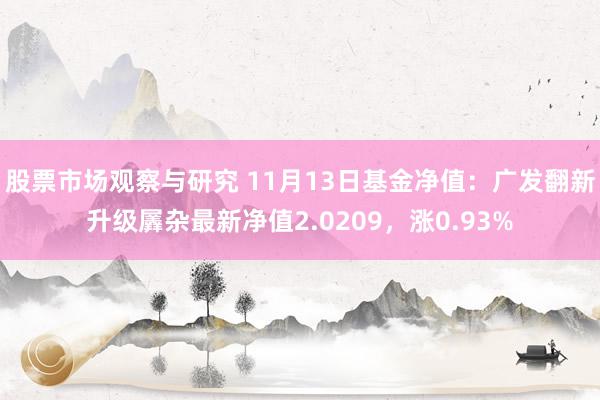 股票市场观察与研究 11月13日基金净值：广发翻新升级羼杂最新净值2.0209，涨0.93%