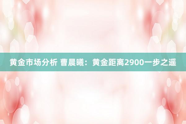 黄金市场分析 曹晨曦：黄金距离2900一步之遥