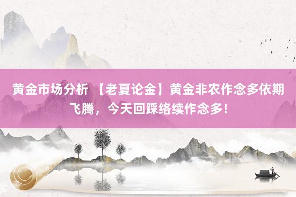 黄金市场分析 【老夏论金】黄金非农作念多依期飞腾，今天回踩络续作念多！