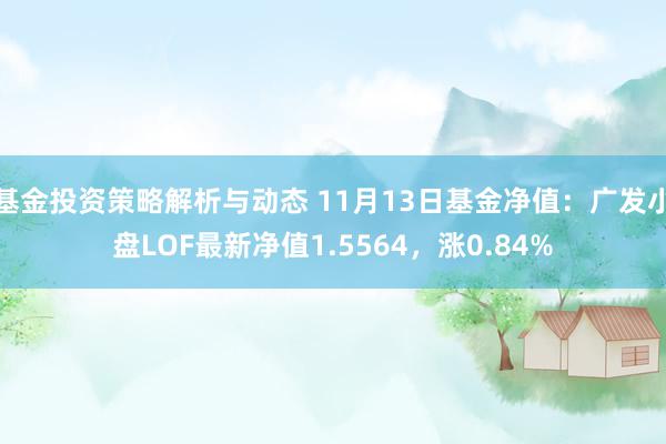 基金投资策略解析与动态 11月13日基金净值：广发小盘LOF最新净值1.5564，涨0.84%