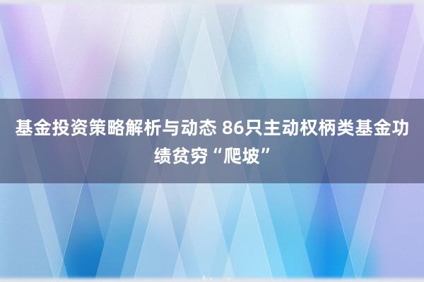 基金投资策略解析与动态 86只主动权柄类基金功绩贫穷“爬坡”