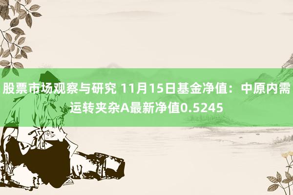 股票市场观察与研究 11月15日基金净值：中原内需运转夹杂A最新净值0.5245