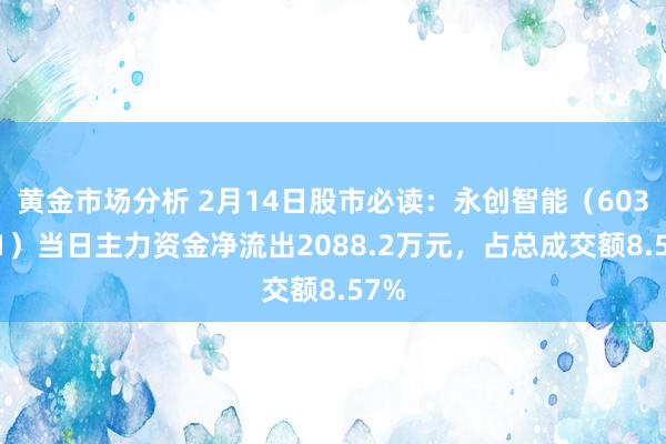 黄金市场分析 2月14日股市必读：永创智能（603901）当日主力资金净流出2088.2万元，占总成交额8.57%