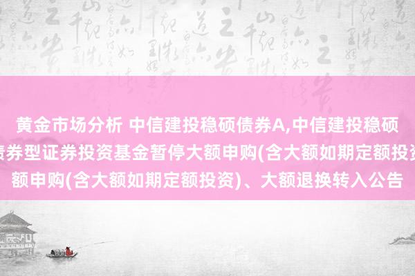 黄金市场分析 中信建投稳硕债券A,中信建投稳硕债券C: 中信建投稳硕债券型证券投资基金暂停大额申购(含大额如期定额投资)、大额退换转入公告