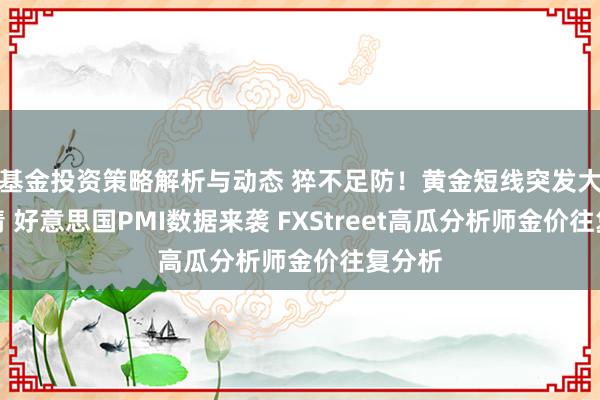 基金投资策略解析与动态 猝不足防！黄金短线突发大跌行情 好意思国PMI数据来袭 FXStreet高瓜分析师金价往复分析