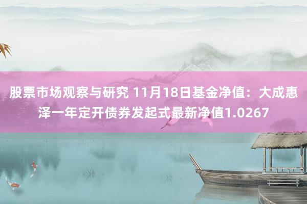 股票市场观察与研究 11月18日基金净值：大成惠泽一年定开债券发起式最新净值1.0267