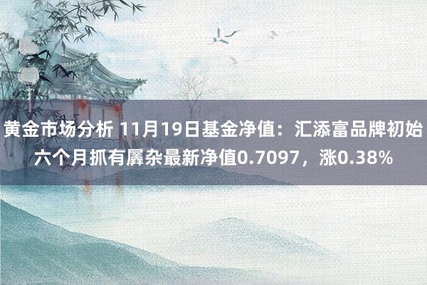 黄金市场分析 11月19日基金净值：汇添富品牌初始六个月抓有羼杂最新净值0.7097，涨0.38%