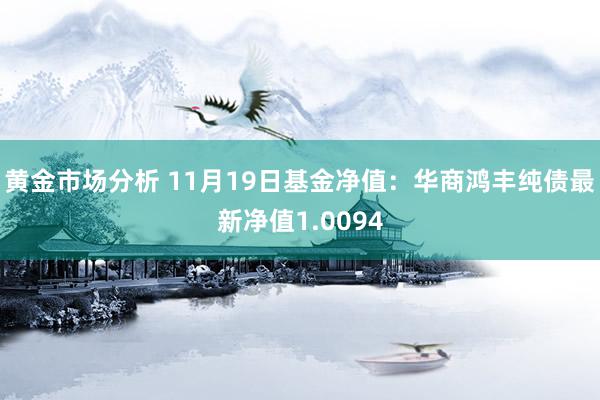 黄金市场分析 11月19日基金净值：华商鸿丰纯债最新净值1.0094