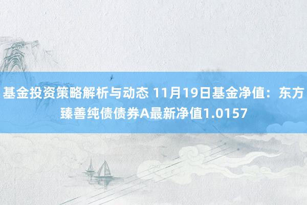 基金投资策略解析与动态 11月19日基金净值：东方臻善纯债债券A最新净值1.0157