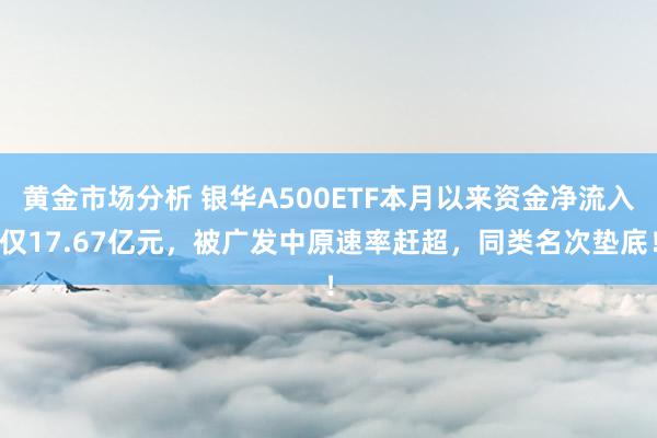 黄金市场分析 银华A500ETF本月以来资金净流入仅17.67亿元，被广发中原速率赶超，同类名次垫底！