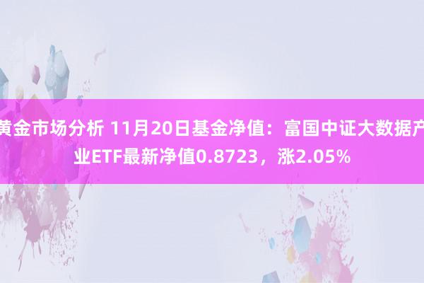 黄金市场分析 11月20日基金净值：富国中证大数据产业ETF最新净值0.8723，涨2.05%