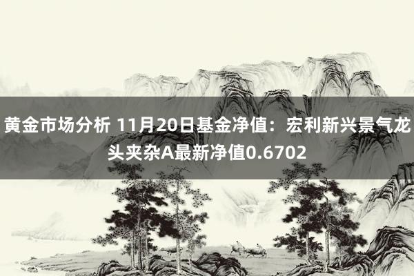 黄金市场分析 11月20日基金净值：宏利新兴景气龙头夹杂A最新净值0.6702