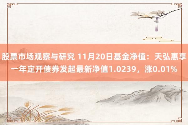 股票市场观察与研究 11月20日基金净值：天弘惠享一年定开债券发起最新净值1.0239，涨0.01%