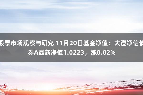 股票市场观察与研究 11月20日基金净值：大澄净信债券A最新净值1.0223，涨0.02%