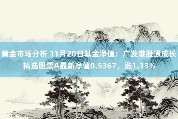 黄金市场分析 11月20日基金净值：广发港股通成长精选股票A最新净值0.5367，涨1.13%