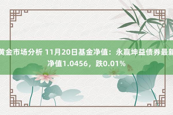 黄金市场分析 11月20日基金净值：永赢坤益债券最新净值1.0456，跌0.01%