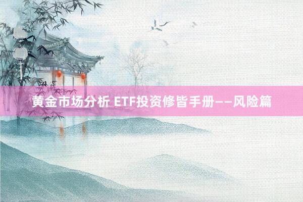 黄金市场分析 ETF投资修皆手册——风险篇