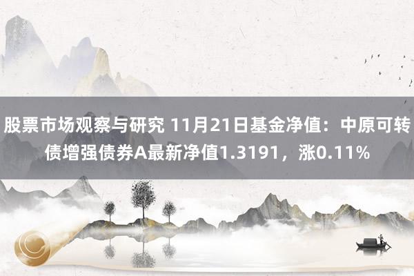 股票市场观察与研究 11月21日基金净值：中原可转债增强债券A最新净值1.3191，涨0.11%