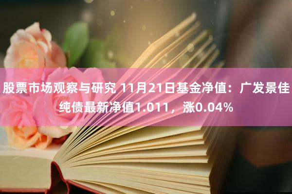 股票市场观察与研究 11月21日基金净值：广发景佳纯债最新净值1.011，涨0.04%