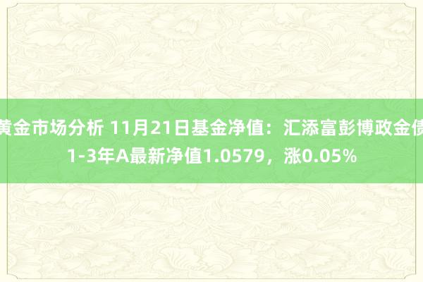 黄金市场分析 11月21日基金净值：汇添富彭博政金债1-3年A最新净值1.0579，涨0.05%