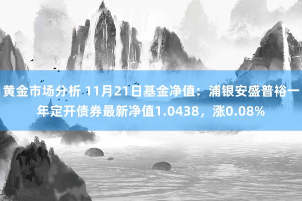 黄金市场分析 11月21日基金净值：浦银安盛普裕一年定开债券最新净值1.0438，涨0.08%