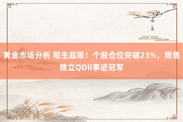 黄金市场分析 陌生超限！个股仓位突破23%，限售建立QDII事迹冠军