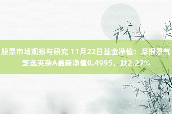 股票市场观察与研究 11月22日基金净值：摩根景气甄选夹杂A最新净值0.4995，跌2.27%