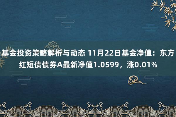 基金投资策略解析与动态 11月22日基金净值：东方红短债债券A最新净值1.0599，涨0.01%