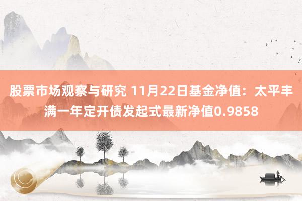 股票市场观察与研究 11月22日基金净值：太平丰满一年定开债发起式最新净值0.9858