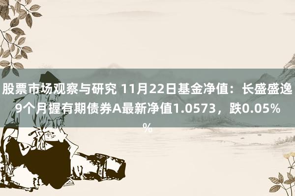 股票市场观察与研究 11月22日基金净值：长盛盛逸9个月握有期债券A最新净值1.0573，跌0.05%