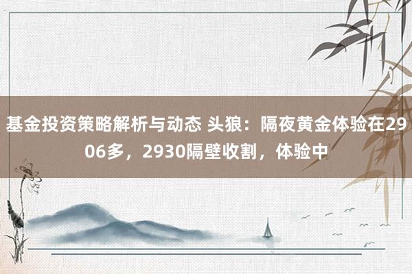 基金投资策略解析与动态 头狼：隔夜黄金体验在2906多，2930隔壁收割，体验中