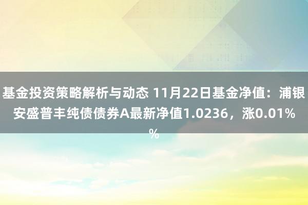 基金投资策略解析与动态 11月22日基金净值：浦银安盛普丰纯债债券A最新净值1.0236，涨0.01%