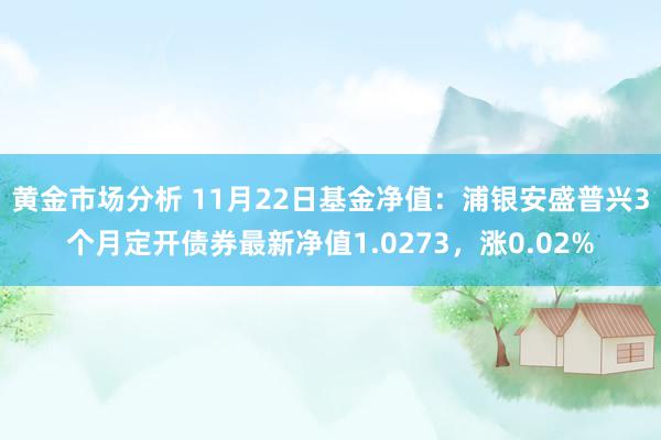 黄金市场分析 11月22日基金净值：浦银安盛普兴3个月定开债券最新净值1.0273，涨0.02%